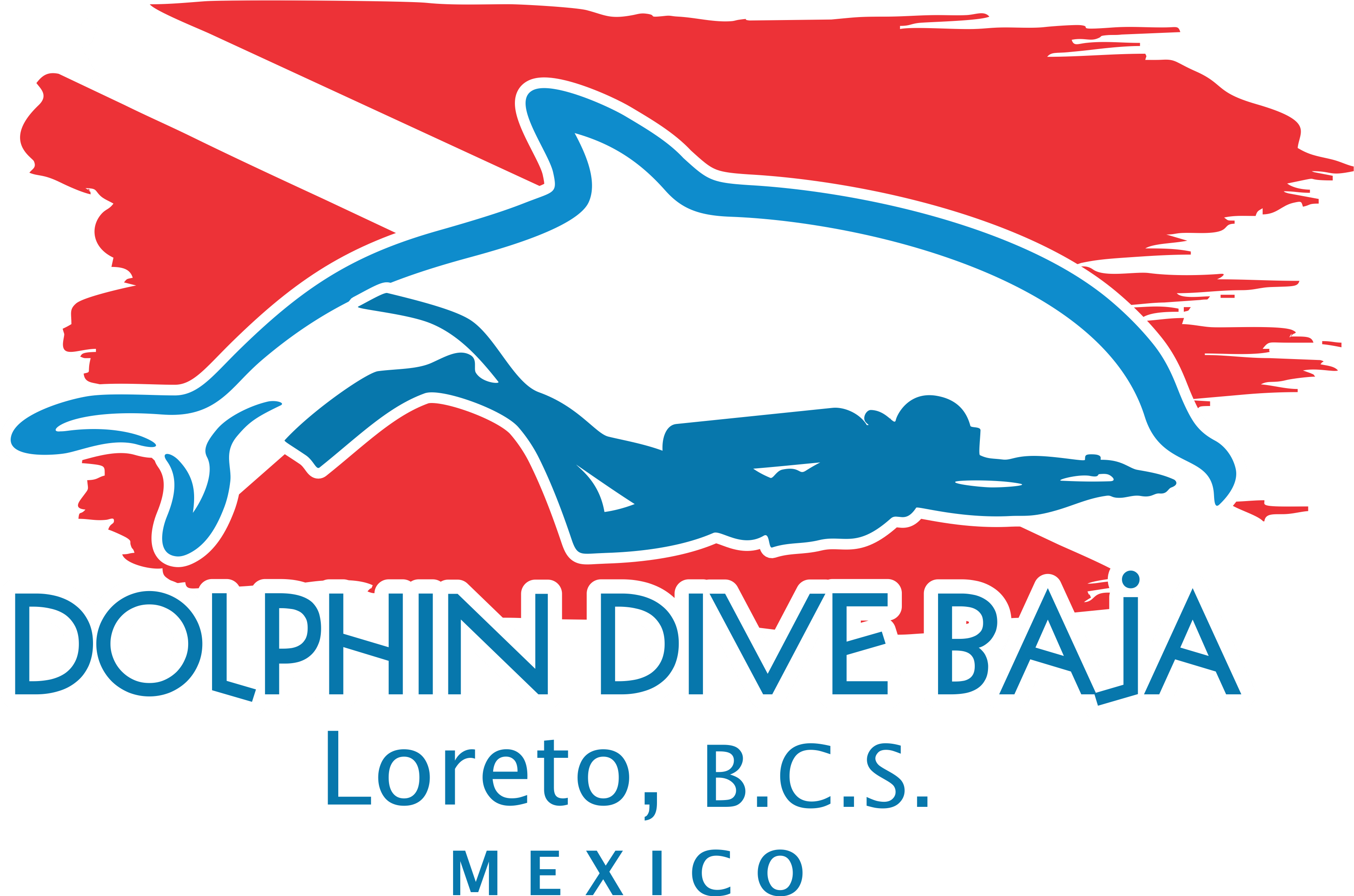 Dolphin Dive Partner
